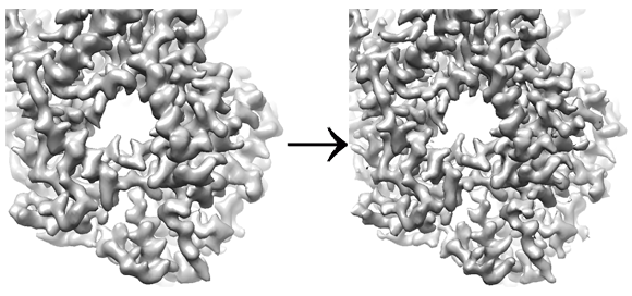 Unsharpened and sharpened maps of VSV polymerase