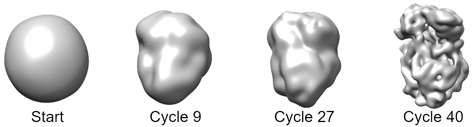 Ab-initio 3D reconstruction of VSV polymerase